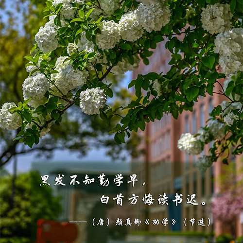 最美大學(xué)