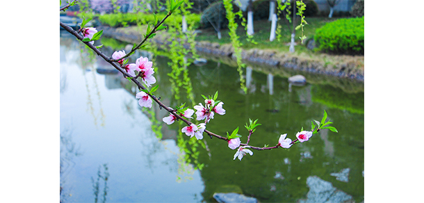 浙江水利水電學(xué)院 - 最美大學(xué)