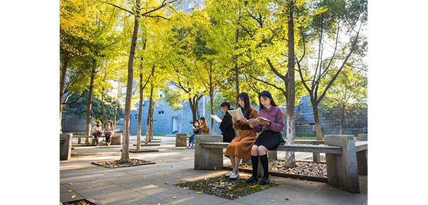 寧波城市職業(yè)技術(shù)學(xué)院 - 最美大學(xué)