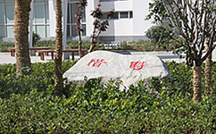 亳州學(xué)院 - 我的大學(xué)