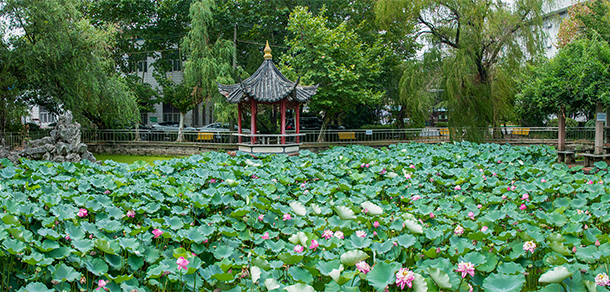 合肥理工學(xué)院