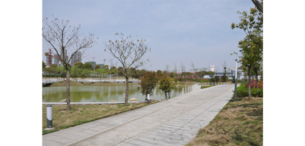 安徽體育運(yùn)動職業(yè)技術(shù)學(xué)院 - 最美大學(xué)