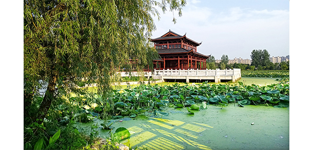 安慶職業(yè)技術(shù)學(xué)院 - 最美大學(xué)