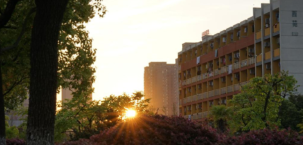 安徽新聞出版職業(yè)技術學院 - 最美大學