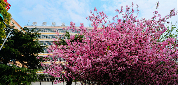 安徽礦業(yè)職業(yè)技術(shù)學(xué)院 - 最美大學(xué)