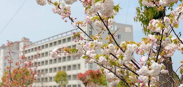 安徽揚子職業(yè)技術學院 - 最美院校