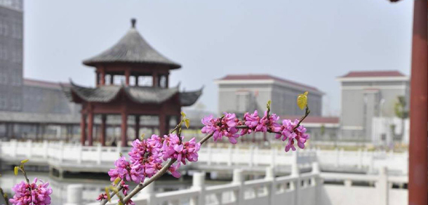 安徽黃梅戲藝術(shù)職業(yè)學院 - 最美大學