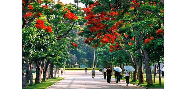 廈門大學 - 最美大學