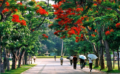 廈門大學 - 我的大學