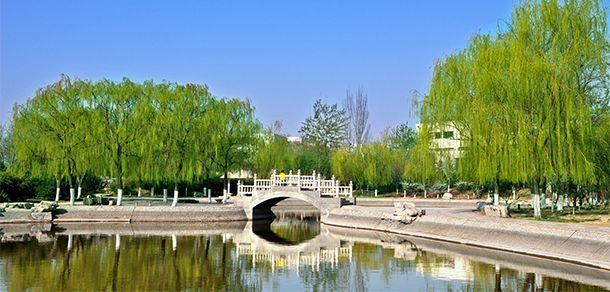 山東理工大學(xué) - 最美大學(xué)