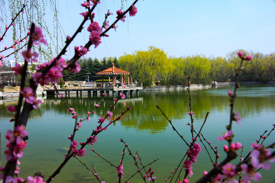 青島農(nóng)業(yè)大學(xué)-校園風(fēng)景