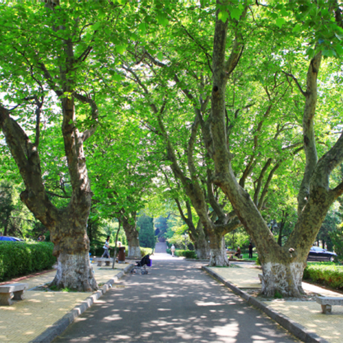 中國海洋大學-大學文化