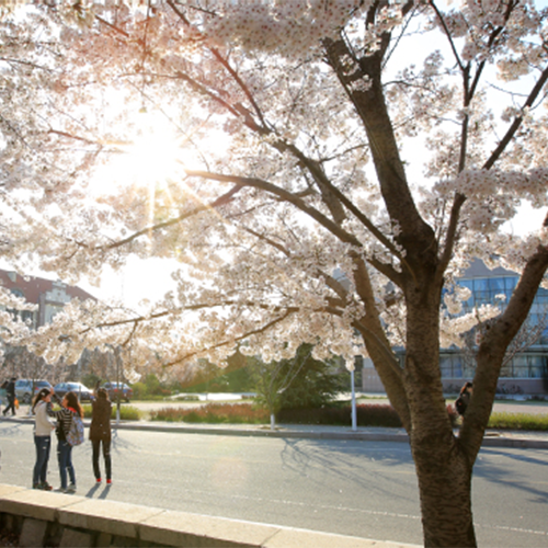 大學簡介