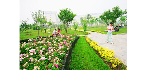 山東體育學(xué)院 - 最美大學(xué)