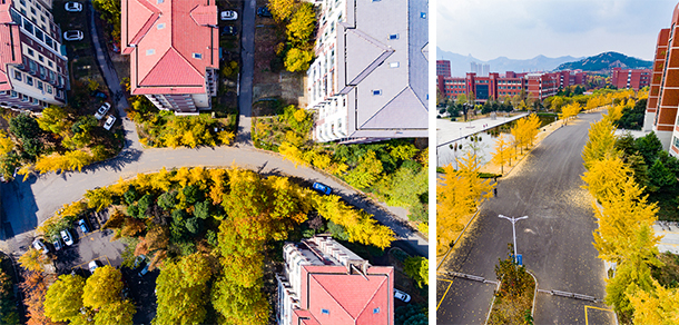 山東科技大學