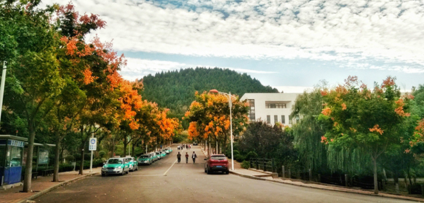 山東藝術學院 - 最美大學