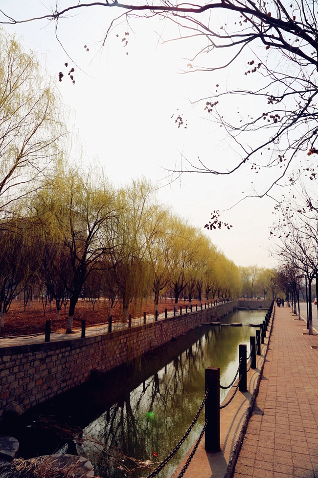 山東藝術(shù)學(xué)院-校園風(fēng)景