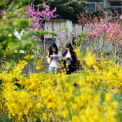 山東工商學院-流金歲月