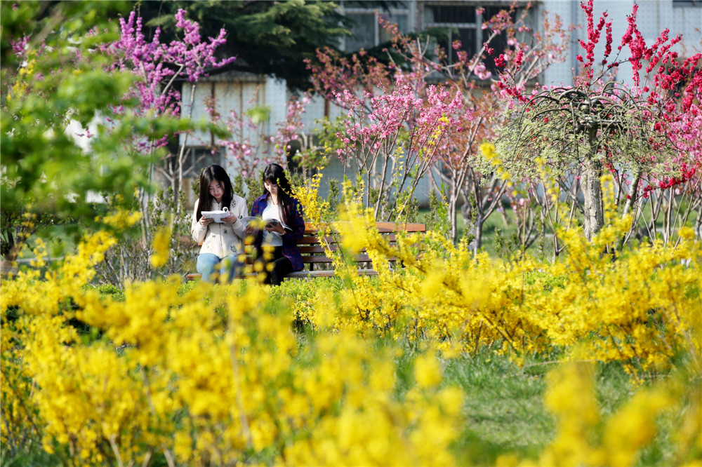 山東工商學院 我的大學