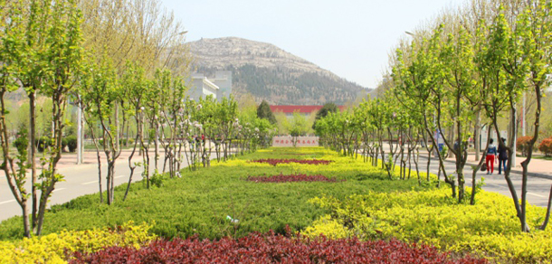 山東女子學(xué)院 - 最美大學(xué)