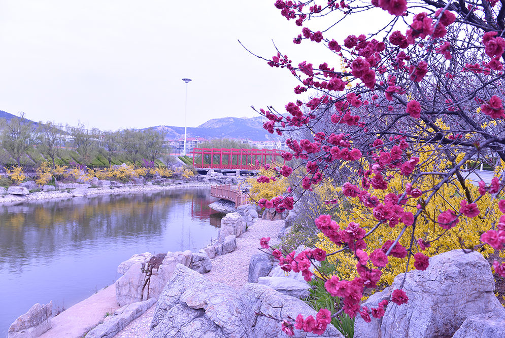 青島黃海學院 我的大學