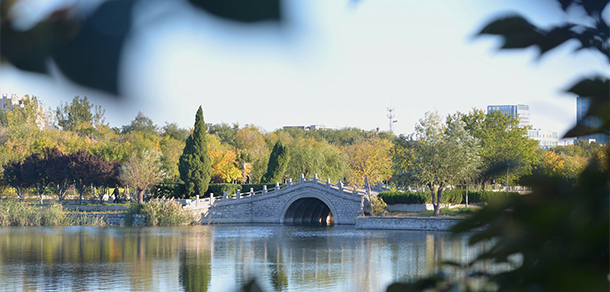 山東石油化工學院