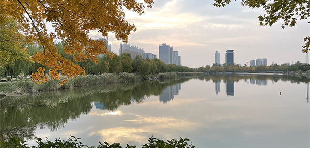 山東石油化工學院