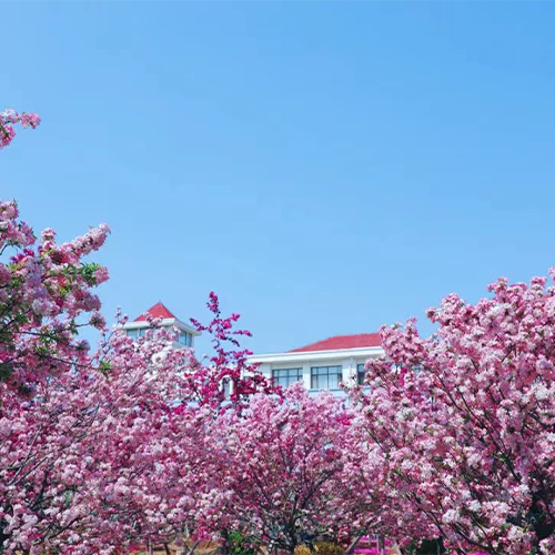 歲月流金 · 青春不散場