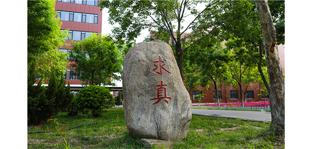 山東華宇工學院 - 最美大學