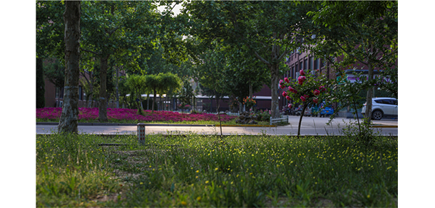 山東華宇工學院 - 最美大學