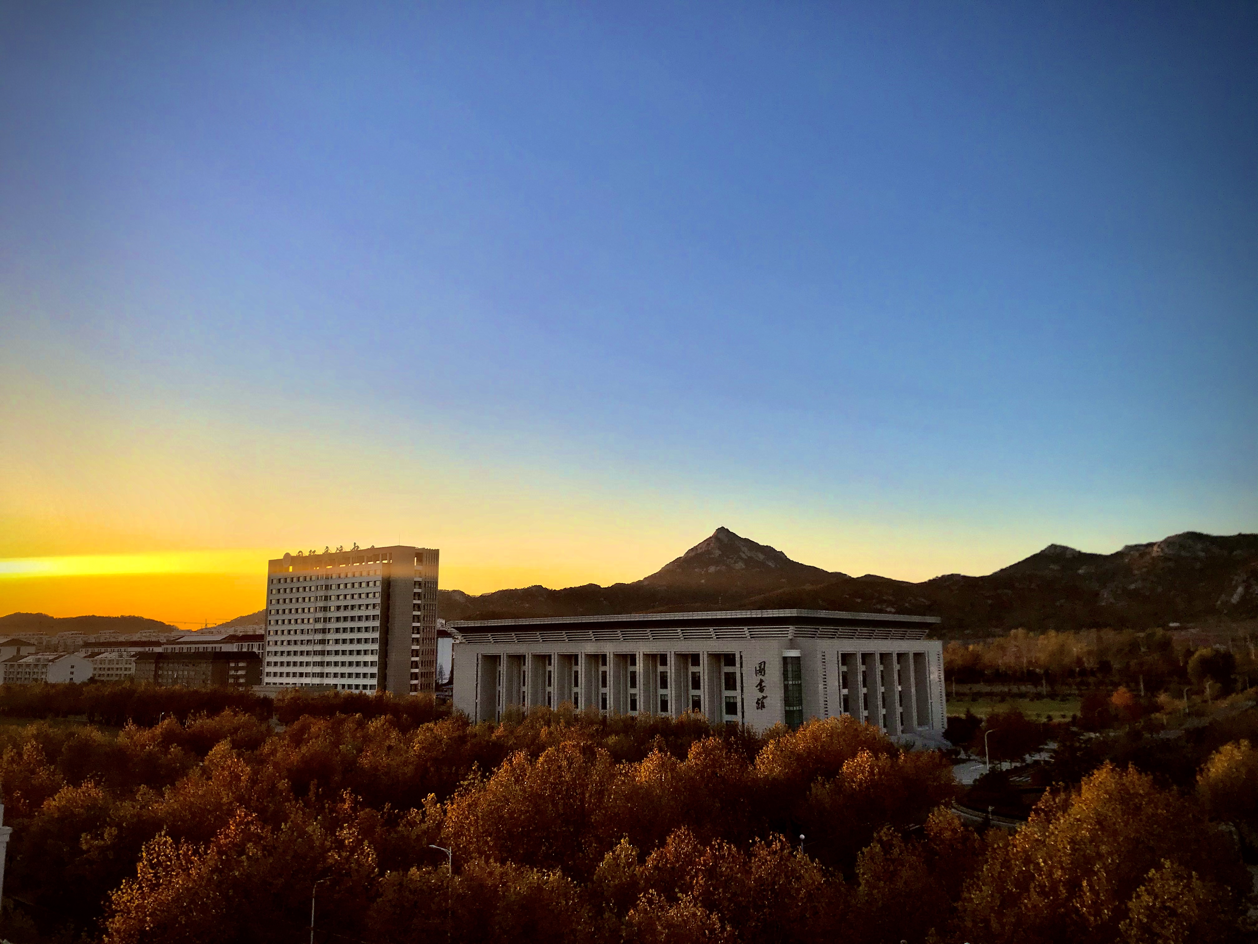 山東外事職業(yè)大學(xué)-校園風(fēng)景