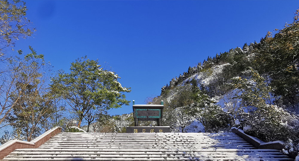 山東政法學(xué)院 流金歲月 · 致青春