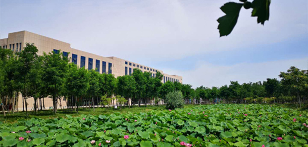 東營職業(yè)學院 - 最美大學