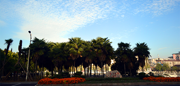 長江大學文理學院