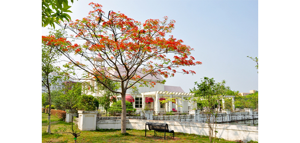 廣州軟件學(xué)院 - 最美大學(xué)