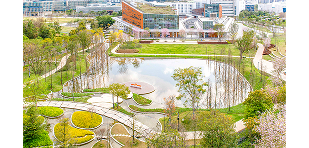 南方科技大學 - 最美大學