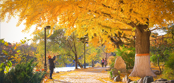 北京大學 - 最美院校