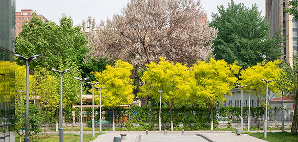 北京石油化工學院 - 最美大學