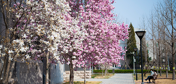 北京石油化工學院 - 最美大學