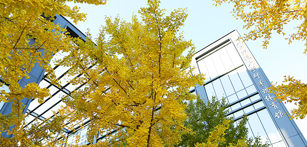 北京師范大學 - 最美大學