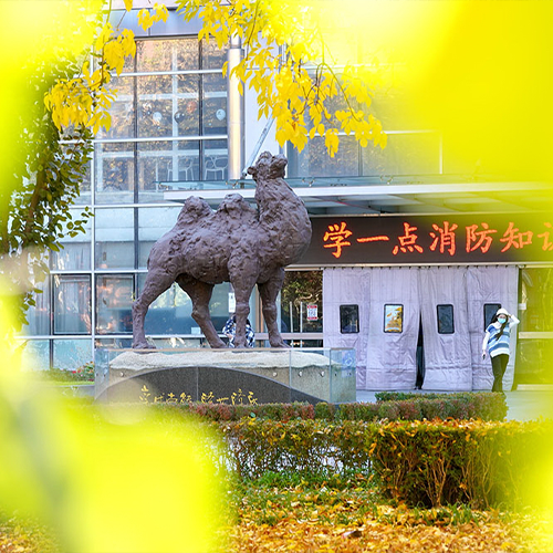 大學簡介