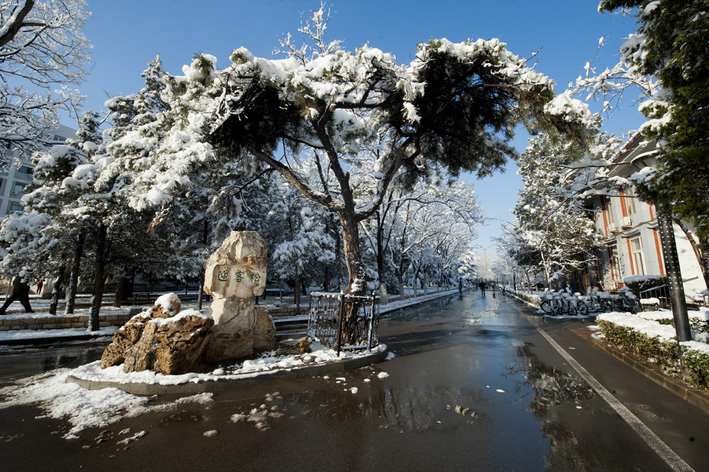 北京交通大學(xué) 我的大學(xué)