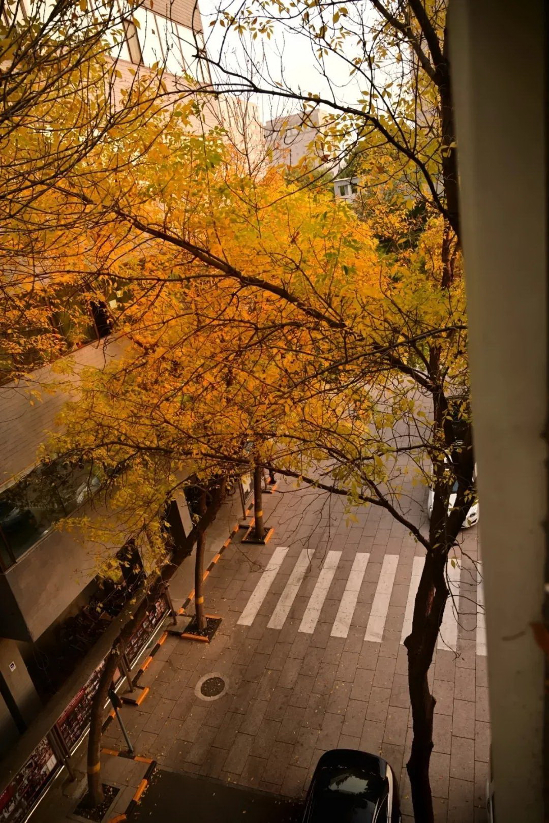 北京電影學(xué)院-校園風(fēng)景