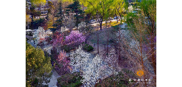 北京舞蹈學(xué)院 - 最美大學(xué)