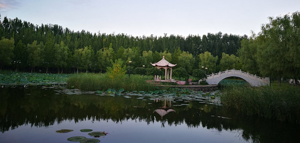 北京經(jīng)濟(jì)技術(shù)職業(yè)學(xué)院 - 最美大學(xué)