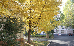 北京京北職業(yè)技術(shù)學(xué)院 - 我的大學(xué)