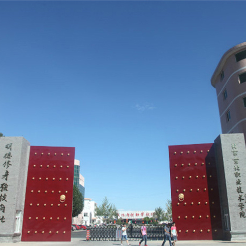 我的大學(xué)