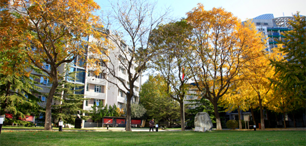 北京青年政治學院 - 最美大學