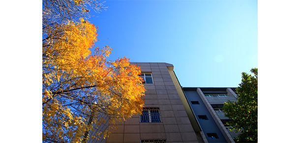 北京青年政治學院 - 最美大學