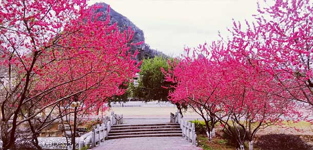 桂林信息科技學院 - 最美院校